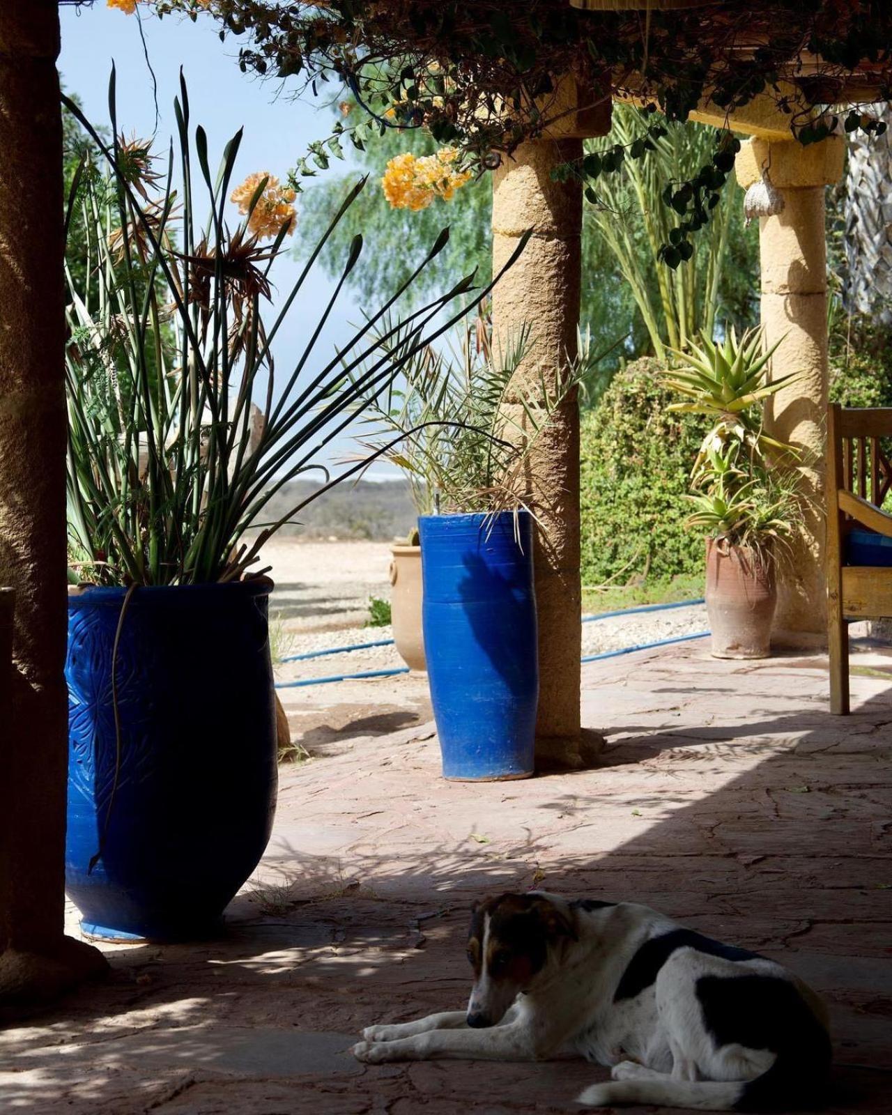 L'Air De La Mer Sidi Kaouki Exterior foto